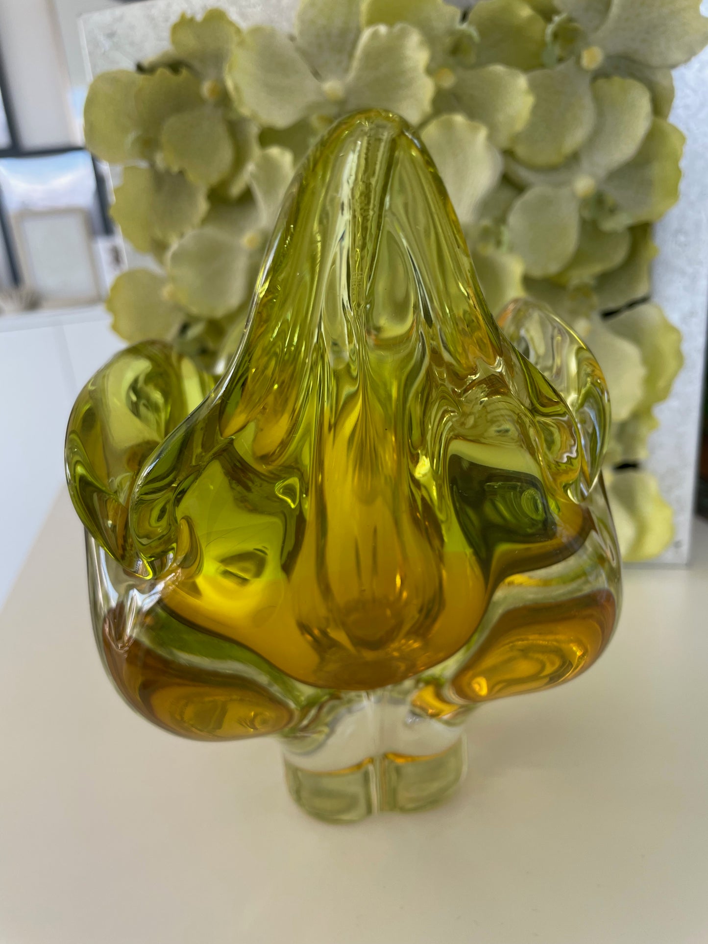 Cat head Josef Hospodka